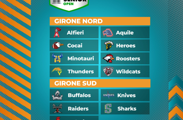 Gironi coppa italia 2023